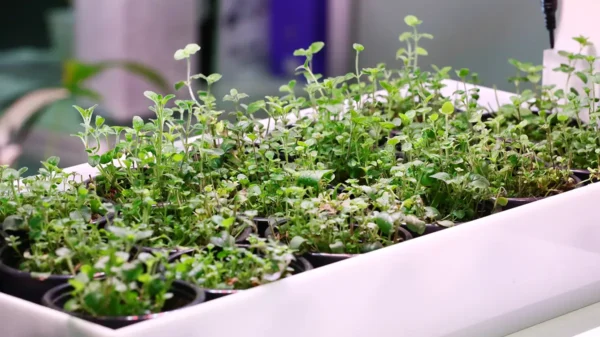 Sajmovi hrane i zdravog življenja 2025.