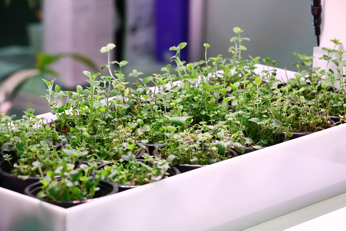 Sajmovi hrane i zdravog življenja 2025.